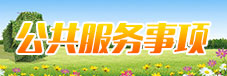 公共事务服务项